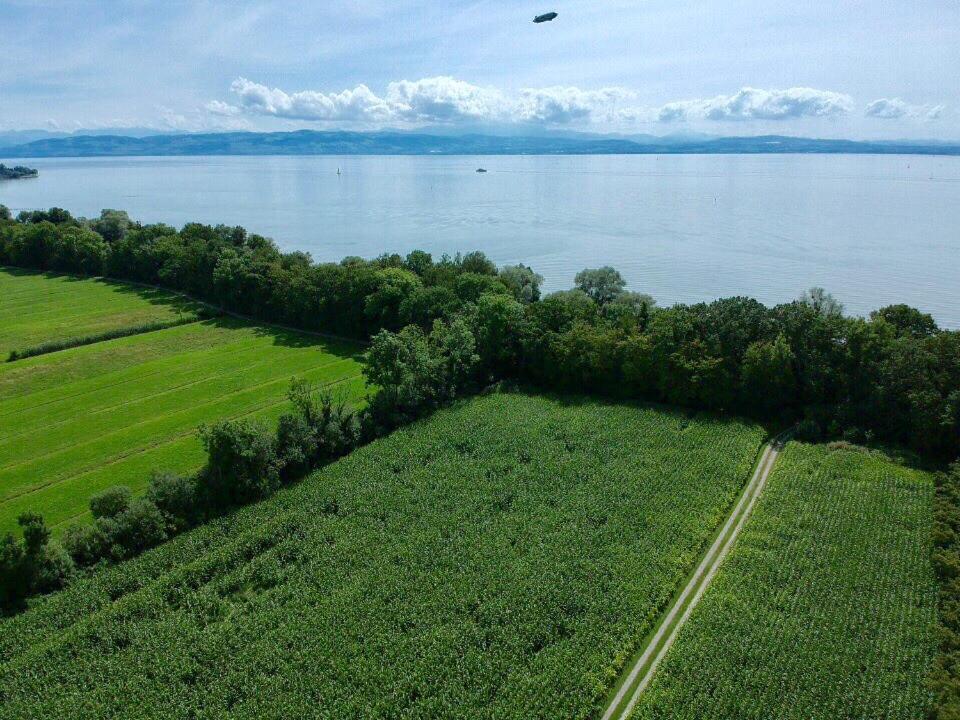 Wohlfuehlloft Seekretzer Mit Privatem Seezugang FDH 외부 사진